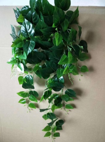 Hanging Plant - HHFL-09