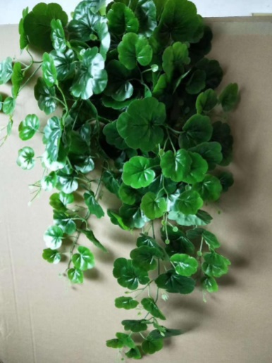 Hanging Plant - HHFL-10