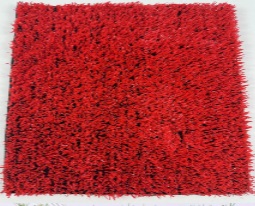 Landscape Grass - HH10-30