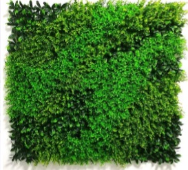 Green Wall - HHW100-51