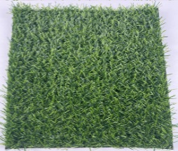 Landscape Grass - HH20-14M
