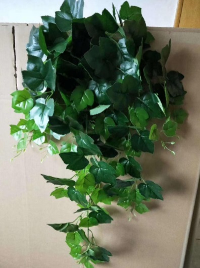 Hanging Plant - HHFL-12