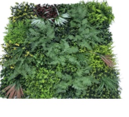 Green Wall - HHW100-62