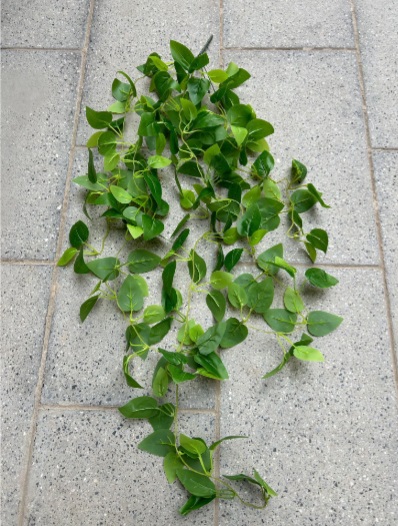 Hanging Plant - HHFL-05