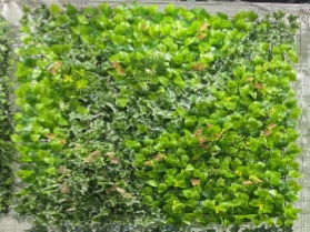 Green Wall - HHW100-70