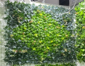 Green Wall - HHW100-72