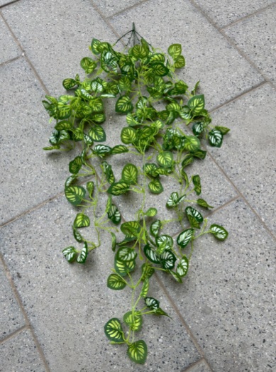 Hanging Plant - HHFL-06