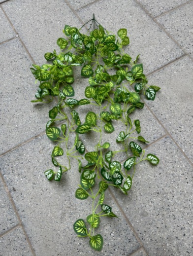 Hanging Plant - HHFL-06