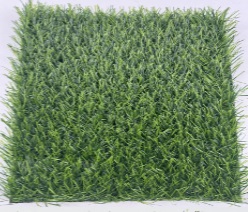Landscape Grass - HH30-14M